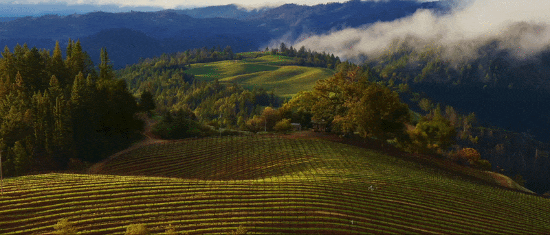 DualLane app switcher demo